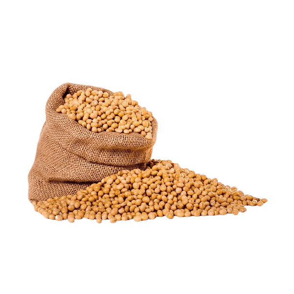 food-gran-1.png Sagittis Purus