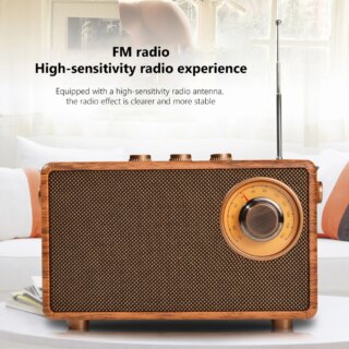 Radio FM rétro Portable récepteur Mini Bluetooth 5.1